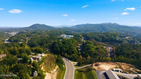 Tiny photo for 2969 Veterans Blvd, Pigeon Forge, TN 37863 (MLS # 1359486)