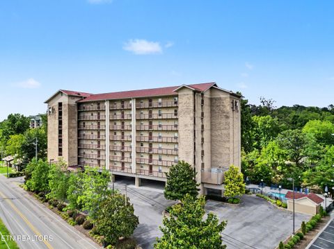 Photo of 3919 S River Rd #UNIT 305, Pigeon Forge, TN 37863 (MLS # 1347742)