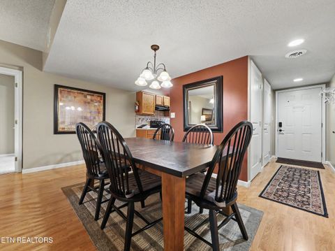 Tiny photo for 3919 S River Rd #UNIT 305, Pigeon Forge, TN 37863 (MLS # 1347742)