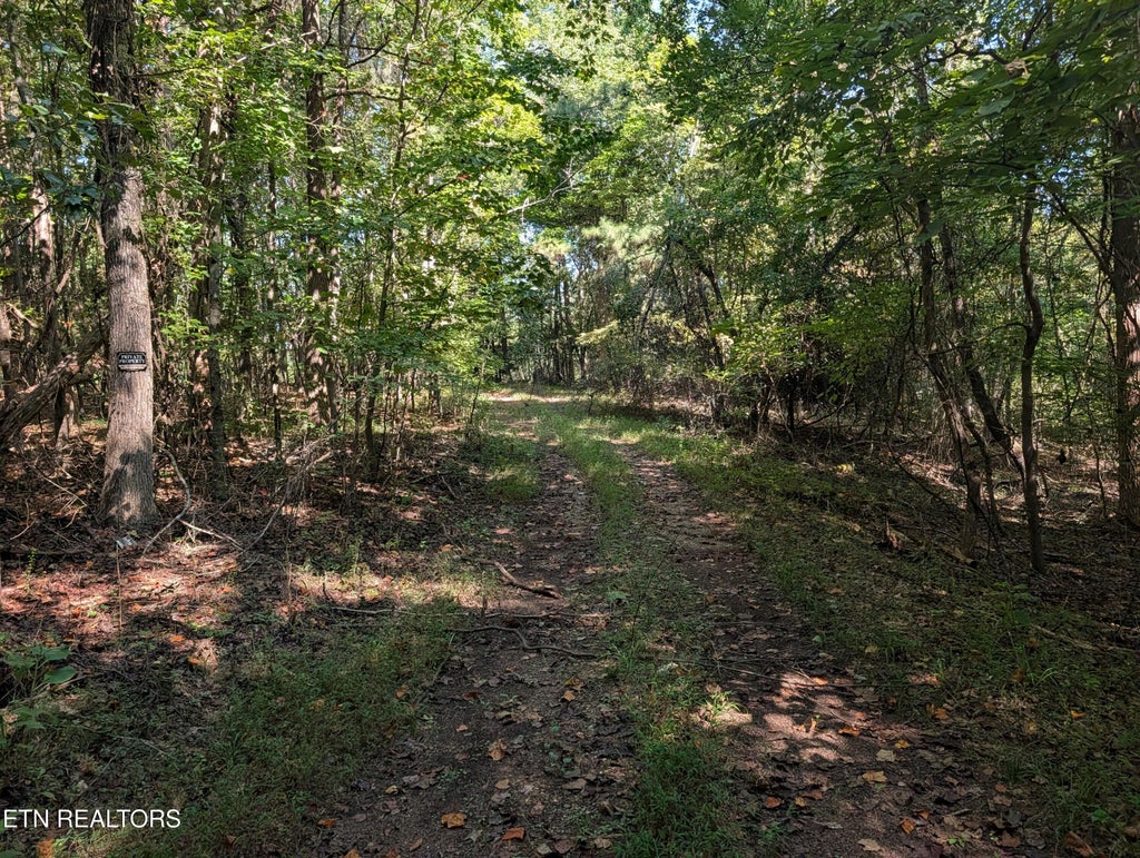 Photo of 665 Lakewood Village Rd, Spring City, TN 37381 (MLS # 1355609)