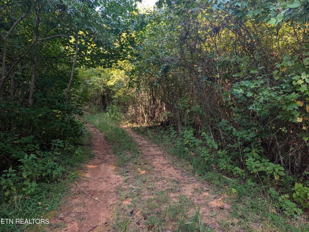 Photo of 665 Lakewood Village Rd, Spring City, TN 37381 (MLS # 1355609)