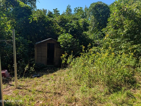Tiny photo for 665 Lakewood Village Rd, Spring City, TN 37381 (MLS # 1355609)