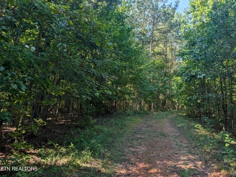 Tiny photo for 665 Lakewood Village Rd, Spring City, TN 37381 (MLS # 1355609)