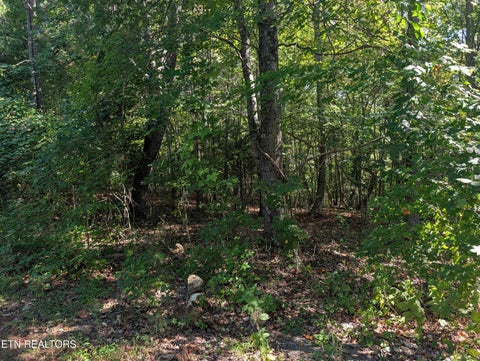 Tiny photo for 665 Lakewood Village Rd, Spring City, TN 37381 (MLS # 1355609)