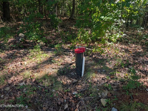 Tiny photo for 665 Lakewood Village Rd, Spring City, TN 37381 (MLS # 1355609)