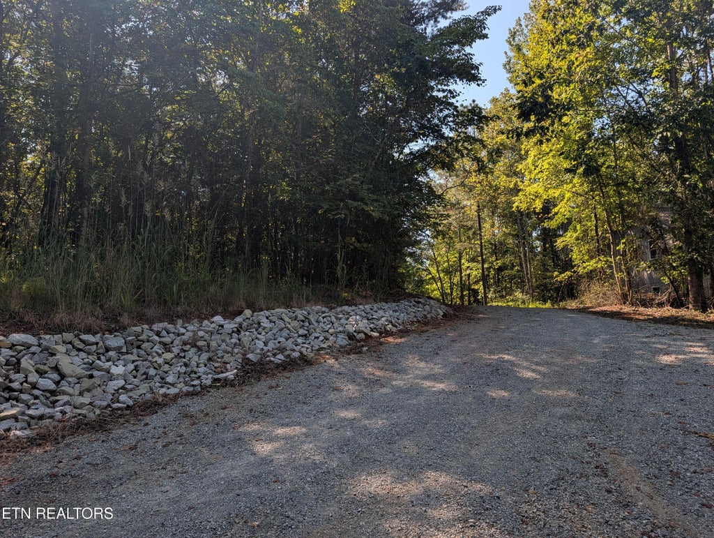 Photo of 665 Lakewood Village Rd, Spring City, TN 37381 (MLS # 1355609)