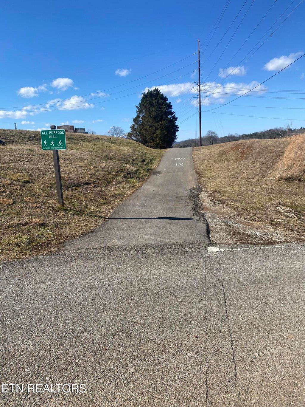 Photo of 159 Bethel Church Rd, Townsend, TN 37882 (MLS # 1289436)