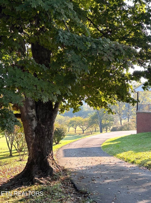 Tiny photo for 222 Belleaire Drive, Farragut, TN 37934 (MLS # 1359248)