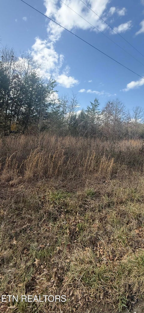 Tiny photo for Friends Station Rd #044 030.01, New Market, TN 37820 (MLS # 1349577)
