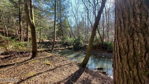 Photo of Sheep Ranch Rd, Robbins, TN 37852 (MLS # 1330450)