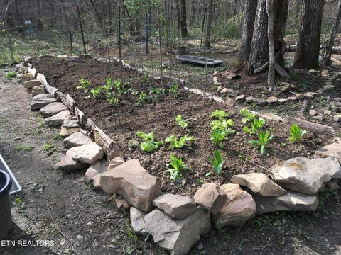 Tiny photo for 755 Bear Branch Rd, Wartburg, TN 37887 (MLS # 1327019)