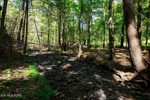 Tiny photo for 755 Bear Branch Rd, Wartburg, TN 37887 (MLS # 1327019)