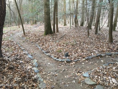 Tiny photo for 755 Bear Branch Rd, Wartburg, TN 37887 (MLS # 1327019)