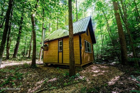 Tiny photo for 755 Bear Branch Rd, Wartburg, TN 37887 (MLS # 1327019)