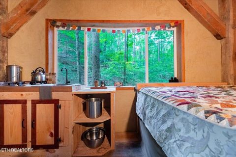 Tiny photo for 755 Bear Branch Rd, Wartburg, TN 37887 (MLS # 1327019)