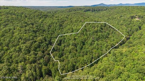 Tiny photo for 755 Bear Branch Rd, Wartburg, TN 37887 (MLS # 1327019)