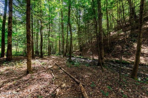 Tiny photo for 755 Bear Branch Rd, Wartburg, TN 37887 (MLS # 1327019)