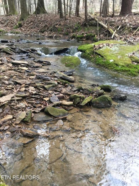 Tiny photo for 755 Bear Branch Rd, Wartburg, TN 37887 (MLS # 1327019)