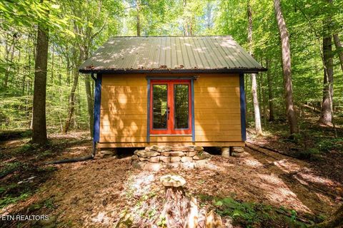 Tiny photo for 755 Bear Branch Rd, Wartburg, TN 37887 (MLS # 1327019)