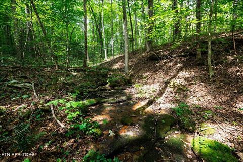 Tiny photo for 755 Bear Branch Rd, Wartburg, TN 37887 (MLS # 1327019)