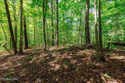 Tiny photo for 755 Bear Branch Rd, Wartburg, TN 37887 (MLS # 1327019)