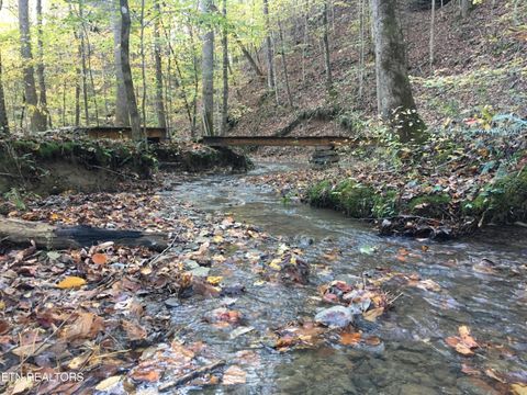 Tiny photo for 755 Bear Branch Rd, Wartburg, TN 37887 (MLS # 1327019)