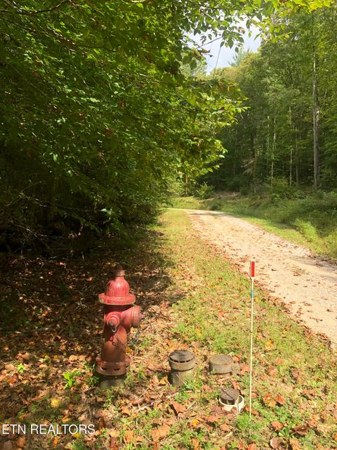 Tiny photo for 755 Bear Branch Rd, Wartburg, TN 37887 (MLS # 1327019)