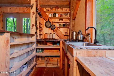 Tiny photo for 755 Bear Branch Rd, Wartburg, TN 37887 (MLS # 1327019)