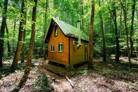 Photo of 755 Bear Branch Rd, Wartburg, TN 37887 (MLS # 1327019)