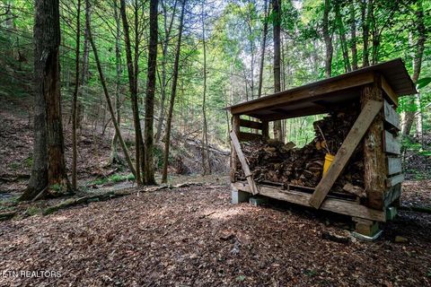 Tiny photo for 755 Bear Branch Rd, Wartburg, TN 37887 (MLS # 1327019)