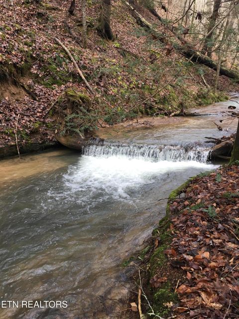 Tiny photo for 755 Bear Branch Rd, Wartburg, TN 37887 (MLS # 1327019)