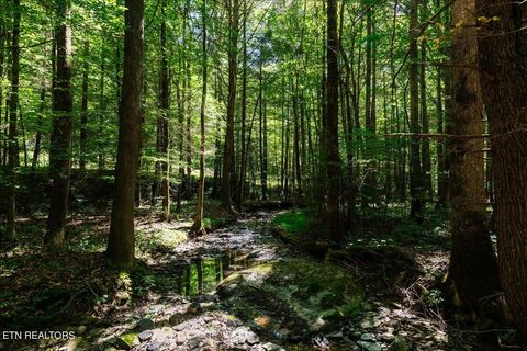 Tiny photo for 755 Bear Branch Rd, Wartburg, TN 37887 (MLS # 1327019)