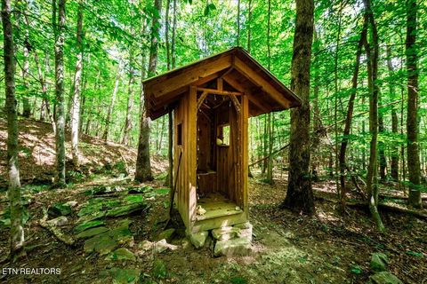 Tiny photo for 755 Bear Branch Rd, Wartburg, TN 37887 (MLS # 1327019)