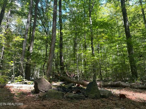 Tiny photo for 755 Bear Branch Rd, Wartburg, TN 37887 (MLS # 1327019)