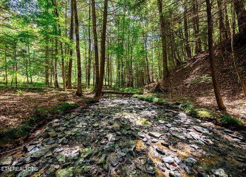 Tiny photo for 755 Bear Branch Rd, Wartburg, TN 37887 (MLS # 1327019)