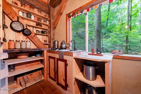 Tiny photo for 755 Bear Branch Rd, Wartburg, TN 37887 (MLS # 1327019)