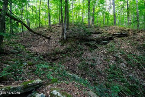 Tiny photo for 755 Bear Branch Rd, Wartburg, TN 37887 (MLS # 1327019)