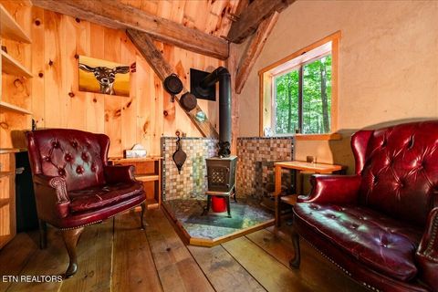 Tiny photo for 755 Bear Branch Rd, Wartburg, TN 37887 (MLS # 1327019)