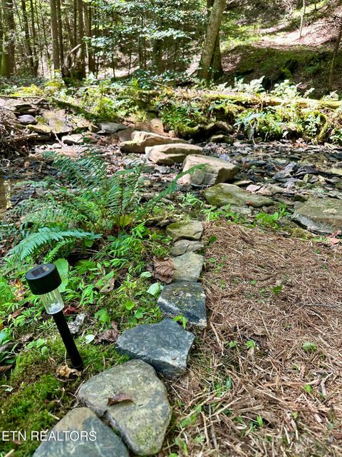 Tiny photo for 755 Bear Branch Rd, Wartburg, TN 37887 (MLS # 1327019)