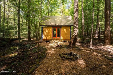 Tiny photo for 755 Bear Branch Rd, Wartburg, TN 37887 (MLS # 1327019)