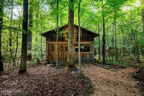 Tiny photo for 755 Bear Branch Rd, Wartburg, TN 37887 (MLS # 1327019)