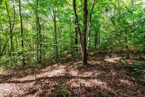 Tiny photo for 755 Bear Branch Rd, Wartburg, TN 37887 (MLS # 1327019)