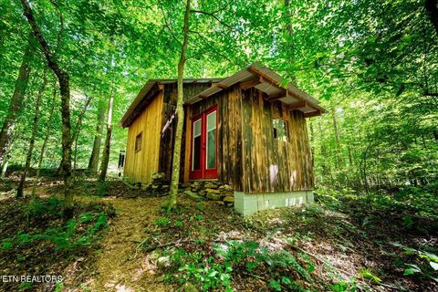 Tiny photo for 755 Bear Branch Rd, Wartburg, TN 37887 (MLS # 1327019)