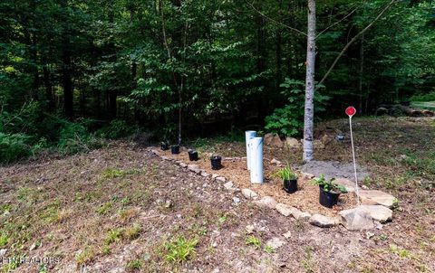 Tiny photo for 755 Bear Branch Rd, Wartburg, TN 37887 (MLS # 1327019)
