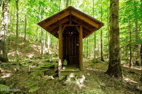 Tiny photo for 755 Bear Branch Rd, Wartburg, TN 37887 (MLS # 1327019)