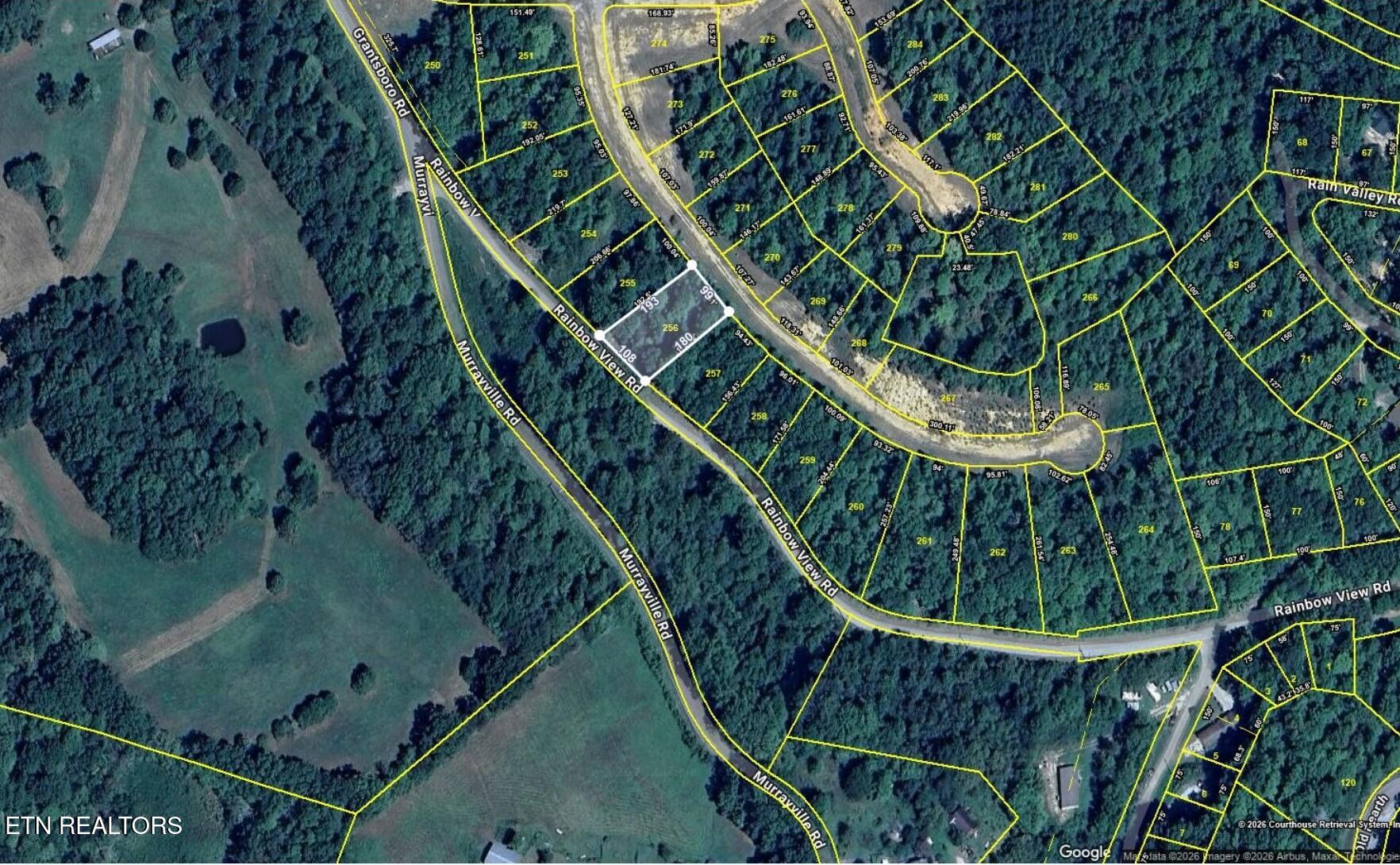 Lot 256