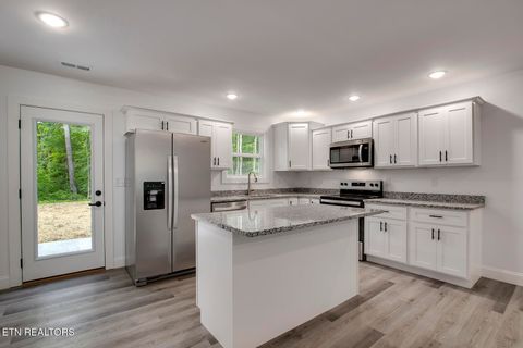 Tiny photo for 730 Holly Glen Rd, Decatur, TN 37322 (MLS # 1338996)