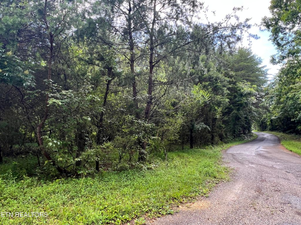 Photo of Lot 9 Wiley Prigmore LN Lane, Decatur, TN 37322 (MLS # 1308574)