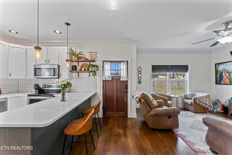 Tiny photo for 4906 E Emory Rd, Knoxville, TN 37938 (MLS # 1334099)