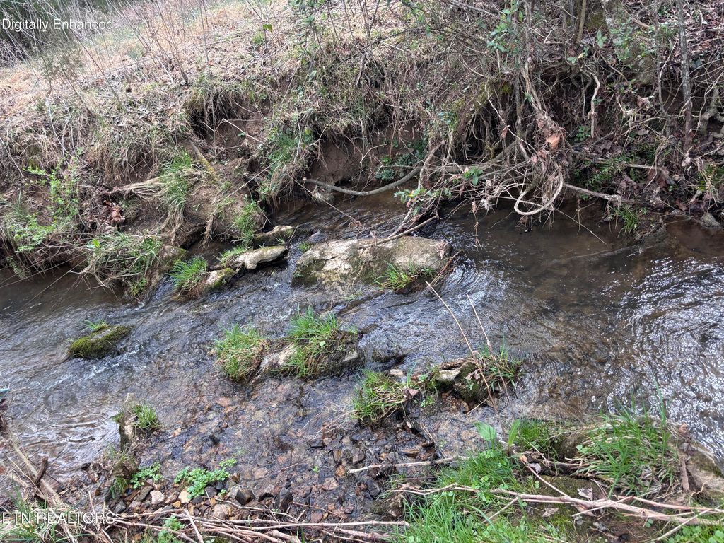 Photo of 2733 Shipe Rd, Mascot, TN 37806 (MLS # 1337628)